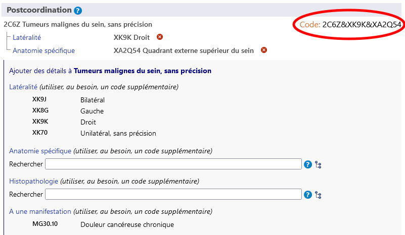 postcoordination screen shot