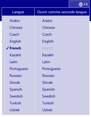 screenshot of the multilingual menu