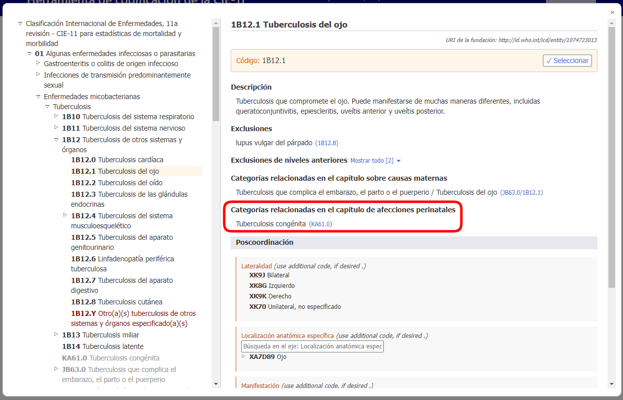 screenshot of Coding Tool related categories in perinatal chapter example