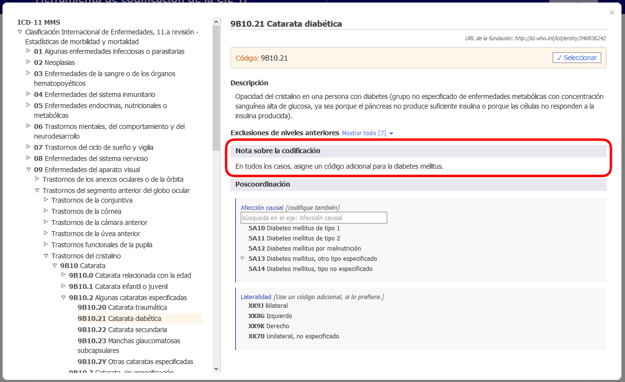 screenshot of Coding Tool coding note example