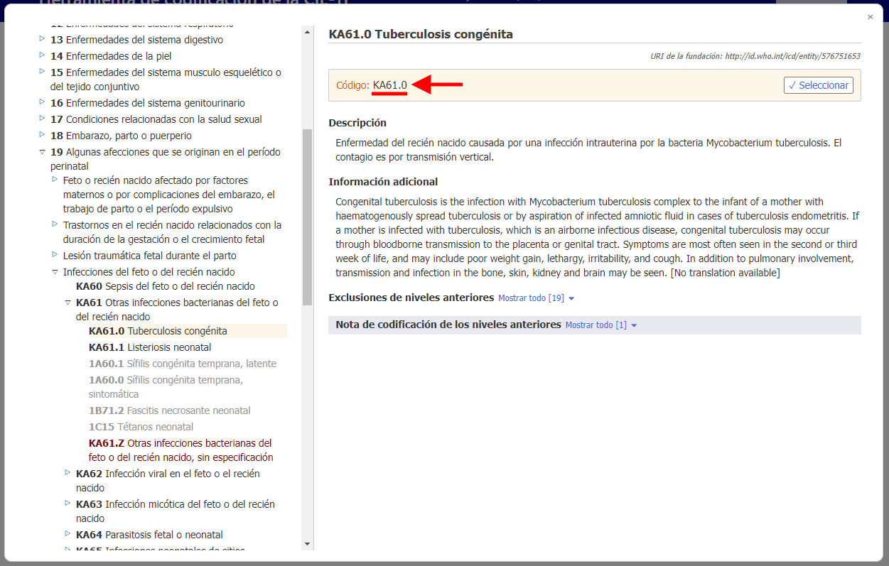 screenshot of Coding Tool for related categories in perinatal chapter example