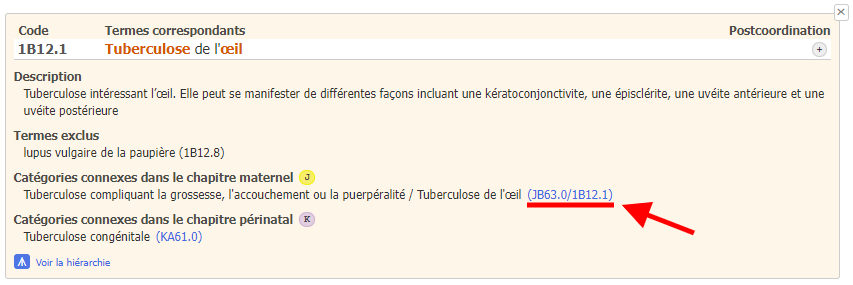 capture d'écran du lien de l'outil de codage pour les catégories connexes dans le lien du chapitre maternité