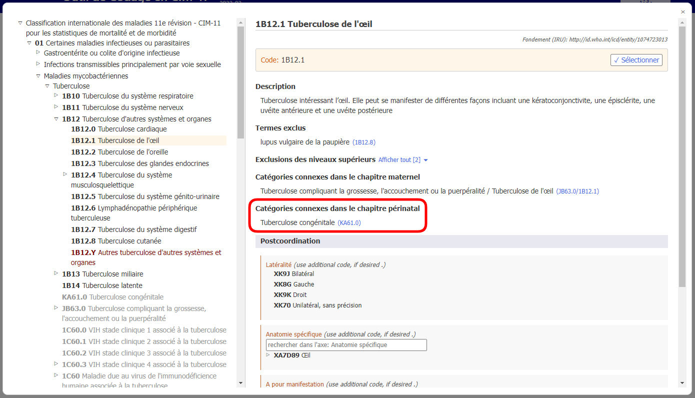 capture d'écran des catégories liées à l'outil de codage dans l'exemple de chapitre périnatal