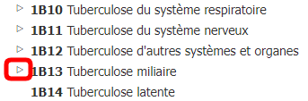 Capture d'écran du navigateur intégré L’outil de codage enfants ouverts