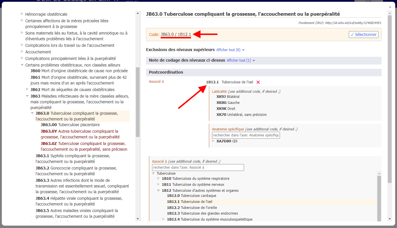 capture d'écran de l'outil de codage des catégories connexes dans l'exemple de chapitre maternité