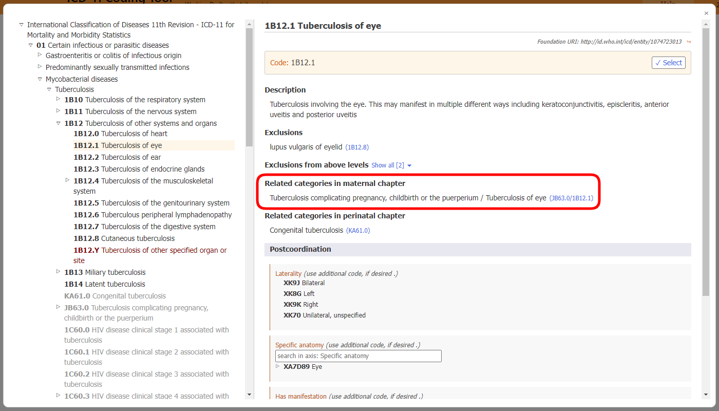 screenshot of Coding Tool related categories in maternal chapter example