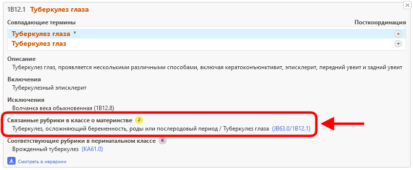 скриншот значка «Связанные рубрики в классе о материнстве» в Инструменте кодирования