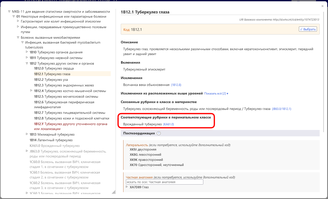 скриншот примера «Связанные рубрики в перинатальном классе» в Инструменте кодирования