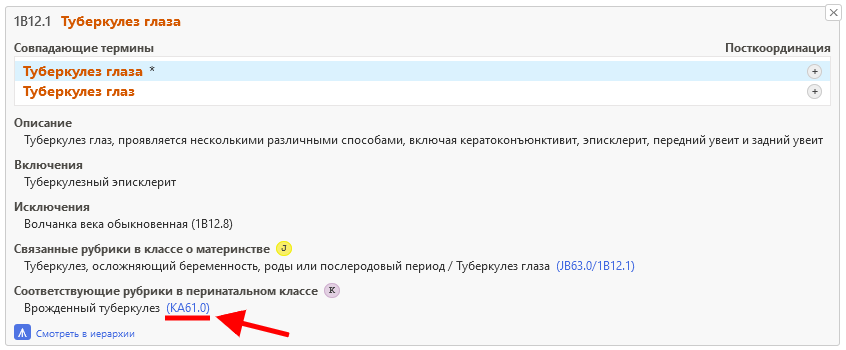 скриншот значка «Связанные рубрики в перинатальном классе» в Инструменте кодирования