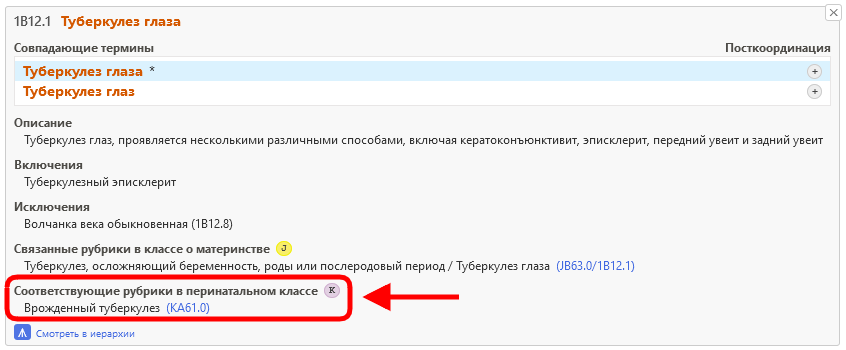 скриншот значка «Связанные рубрики в перинатальном классе» в Инструменте кодирования