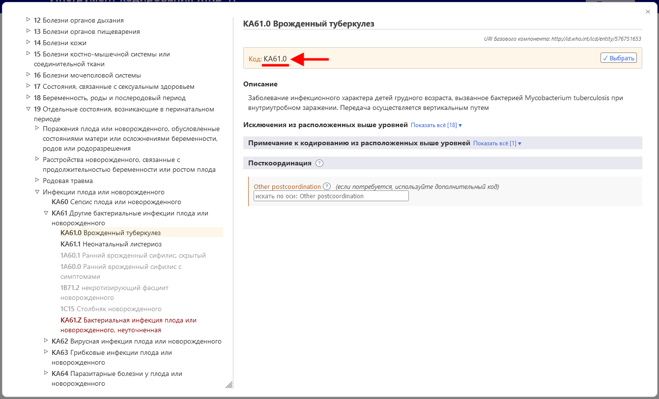 скриншот примера «Связанные рубрики в перинатальном классе» в Инструменте кодирования