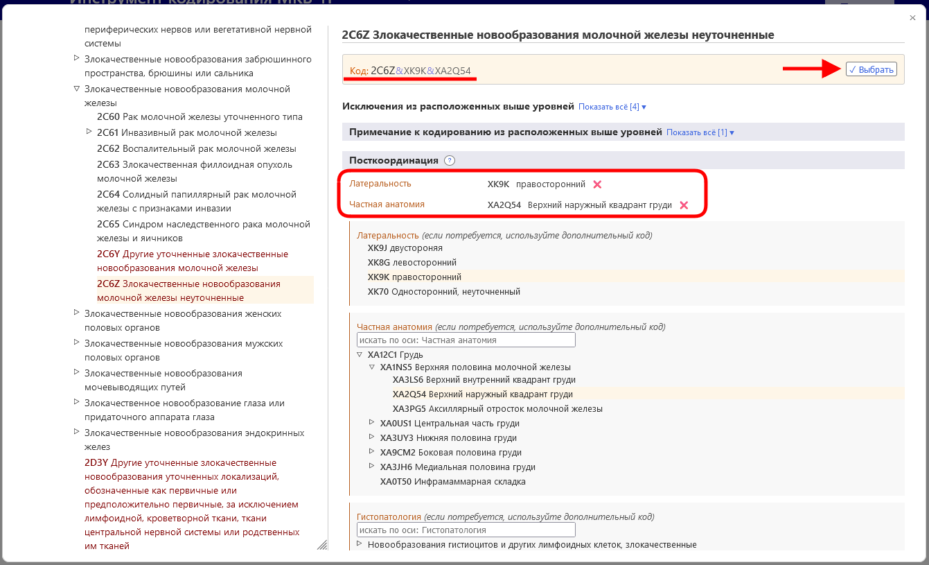 скриншот построения кодовой строки в Инструменте кодирования