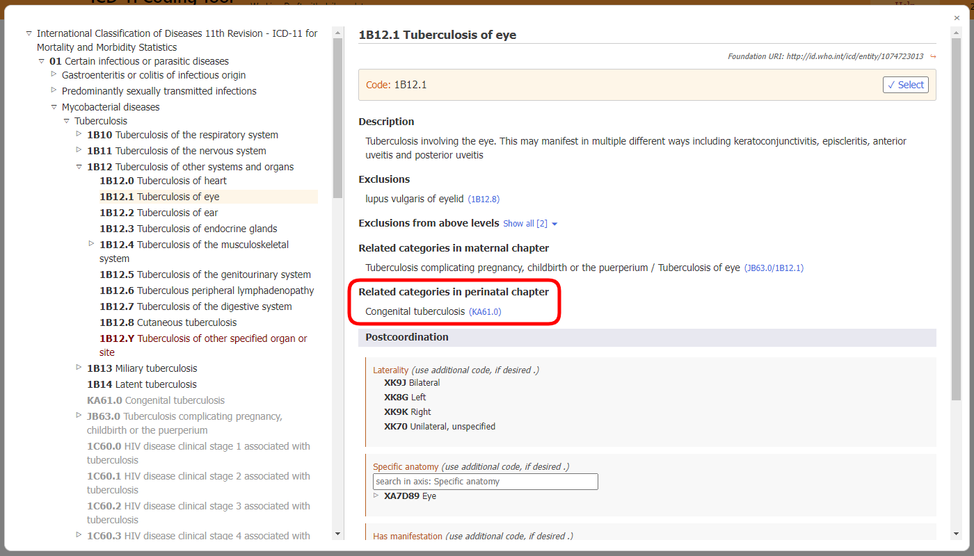 screenshot of Coding Tool related categories in perinatal chapter example