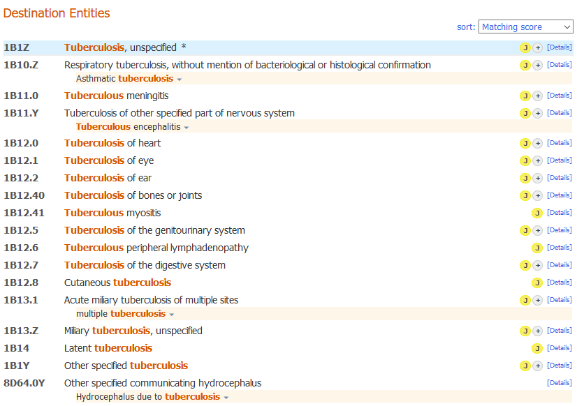 screenshot of Coding Tool entities list result