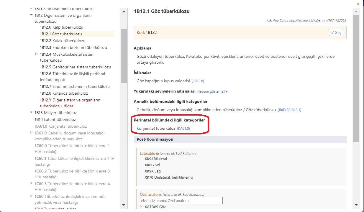 screenshot of Coding Tool related categories in perinatal chapter example