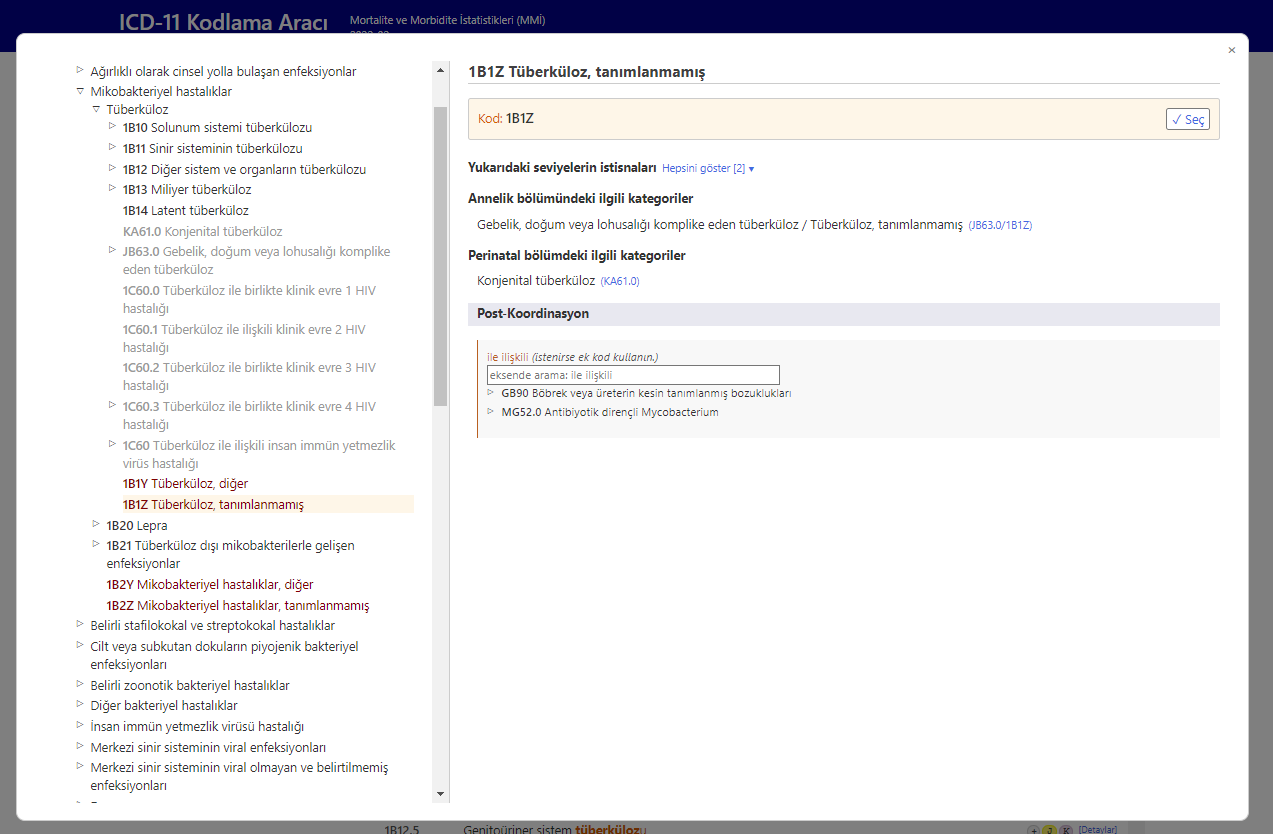 screenshot of Coding Tool integrated browser