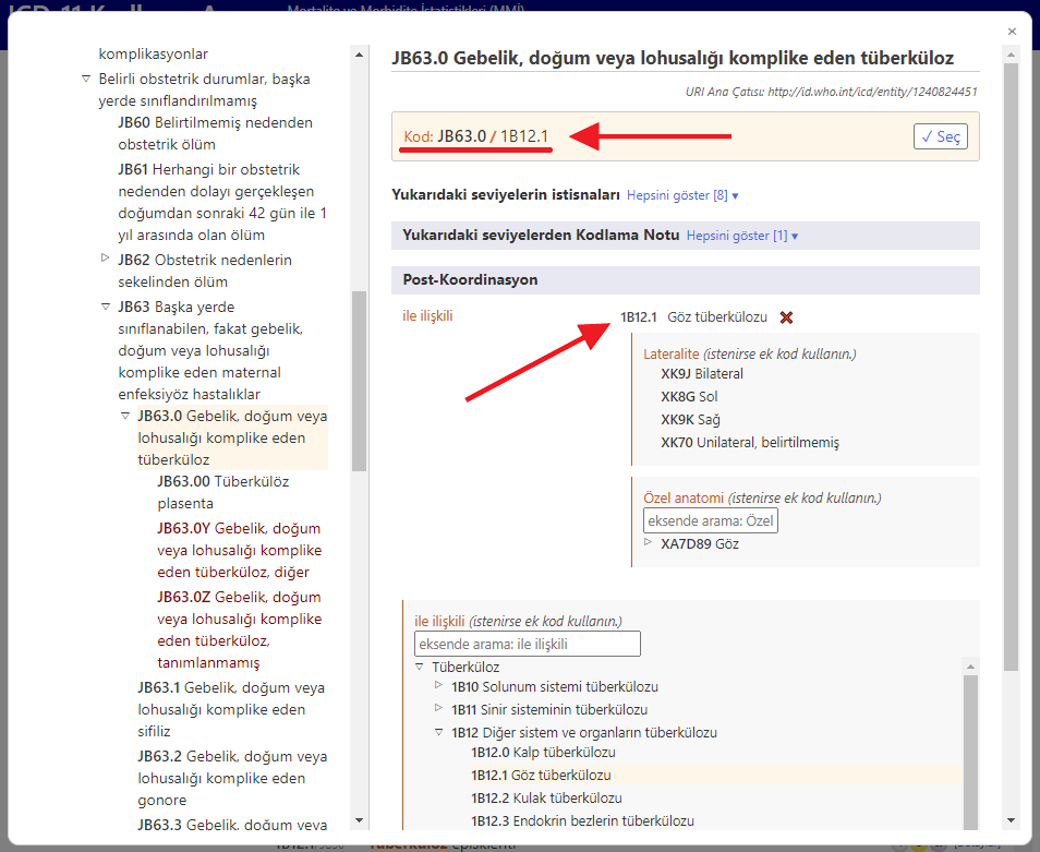 screenshot of Coding Tool for related categories in maternal chapter example