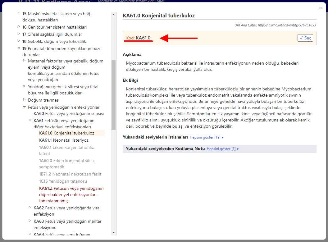 screenshot of Coding Tool for related categories in perinatal chapter example