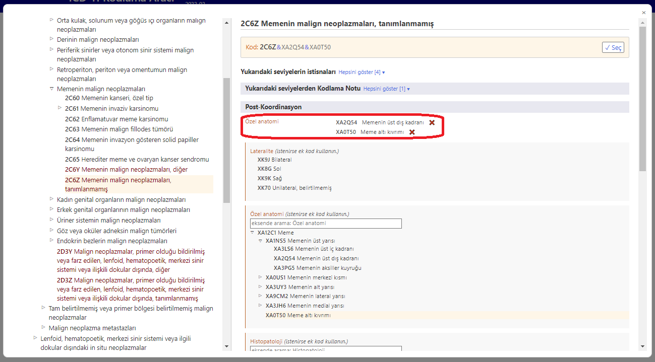 screenshot of Coding Tool postcoordination multiple values from the same axis