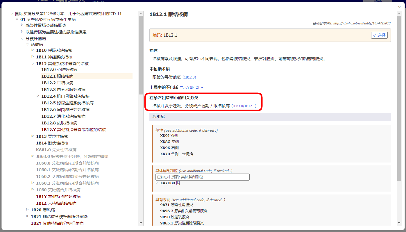 screenshot of Coding Tool related categories in maternal chapter example