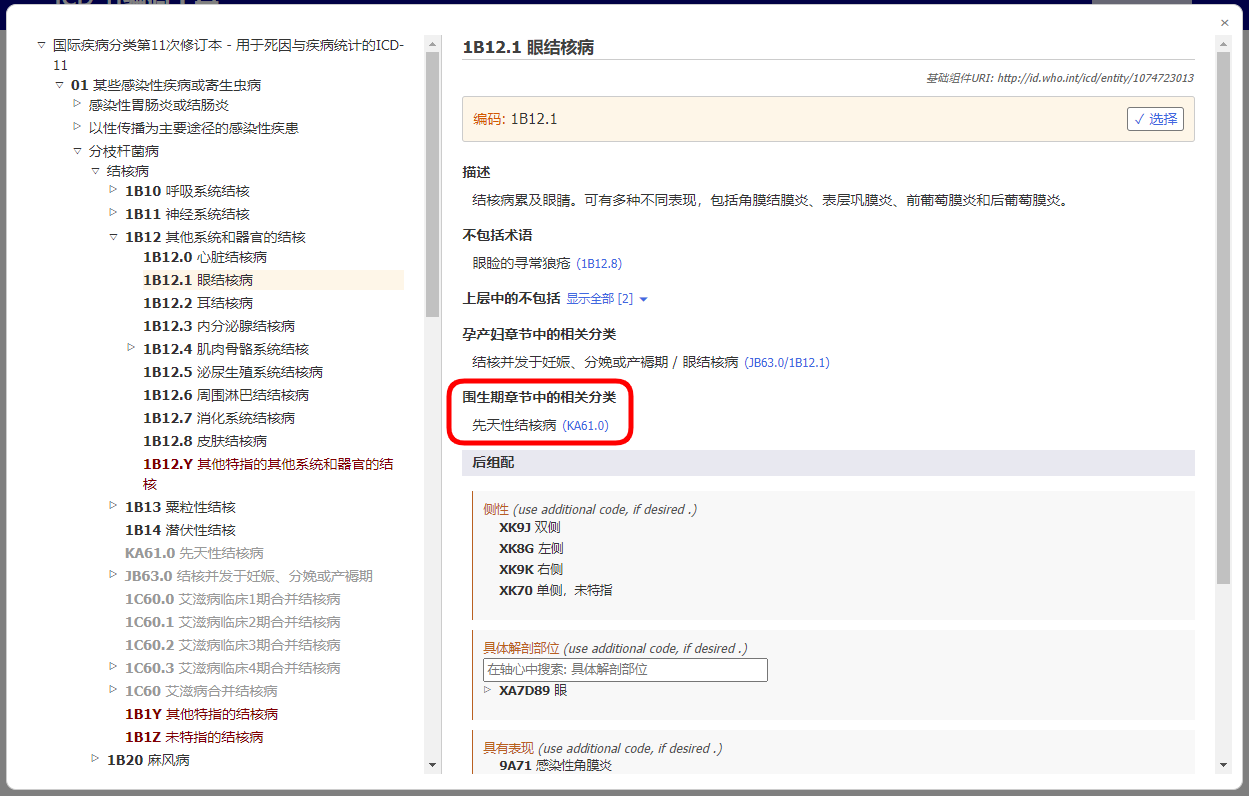 screenshot of Coding Tool related categories in perinatal chapter example