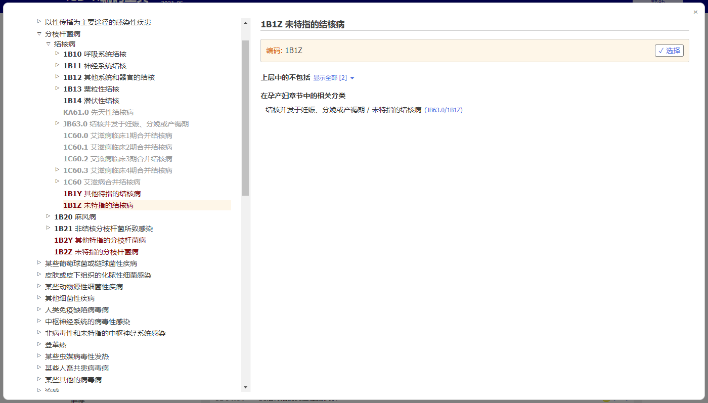 screenshot of Coding Tool integrated browser