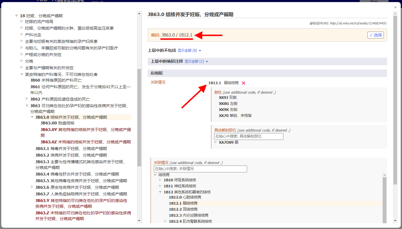 screenshot of Coding Tool for related categories in maternal chapter example