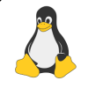 Linux systemd service